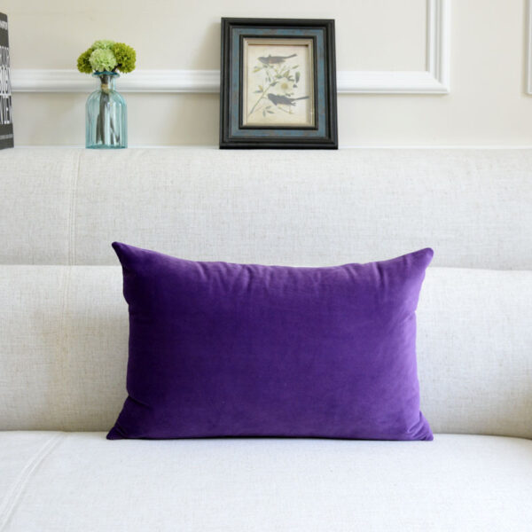 Sofa Velvet Throw Pillow - Image 5