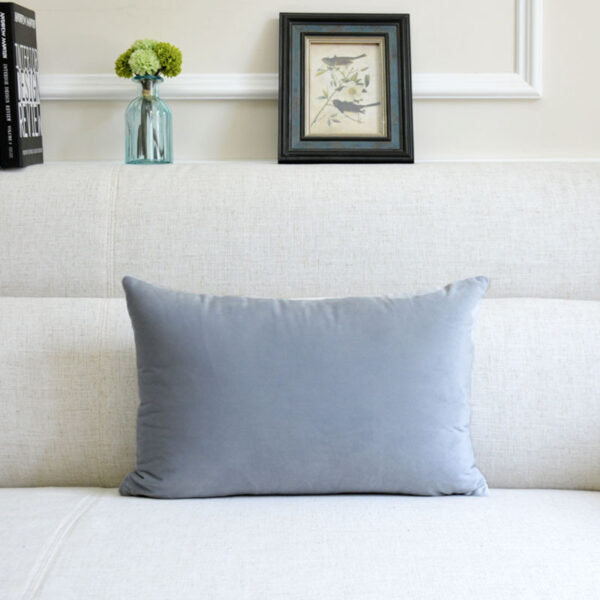 Sofa Velvet Throw Pillow - Image 10