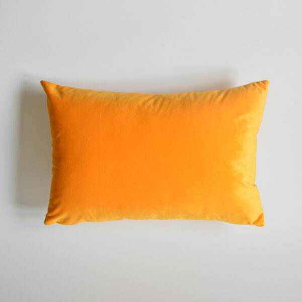 Sofa Velvet Throw Pillow - Image 9