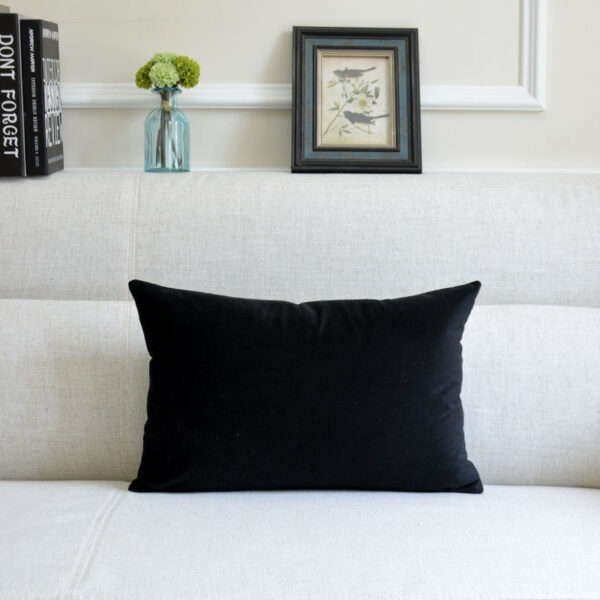 Sofa Velvet Throw Pillow - Image 6