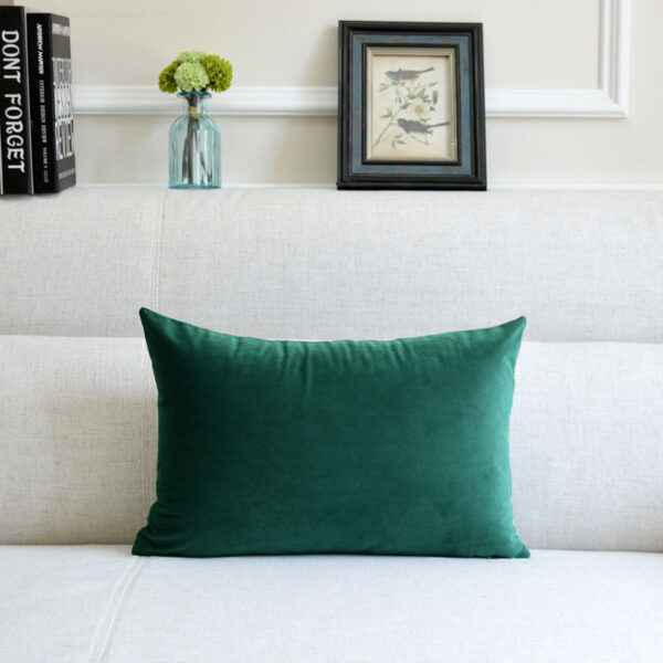 Sofa Velvet Throw Pillow - Image 3