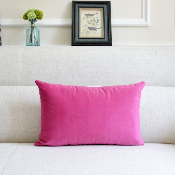 Sofa Velvet Throw Pillow - Image 4